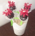 /album/cake-pops/img-3175-jpg/